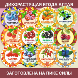 Шиповник Алтайский (молотый)