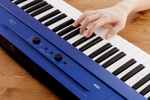 Korg L1