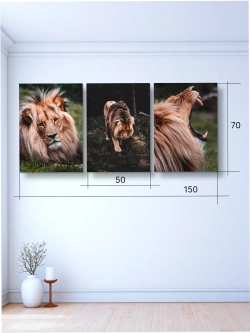 Картина Царская мощь модульная 50x70см 3шт.