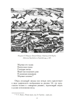 Черное солнце. Алхимия и искусство Темноты