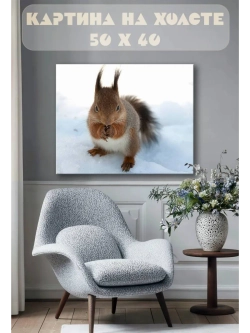 Картина на стену 40 X 50 Белка