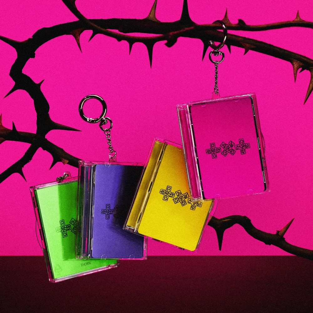 Альбом TXT - 7TH YEAR: A Moment of Stillness in the Thorns [Photocard Case ver.]