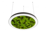 DL1000S90WW Moss Black