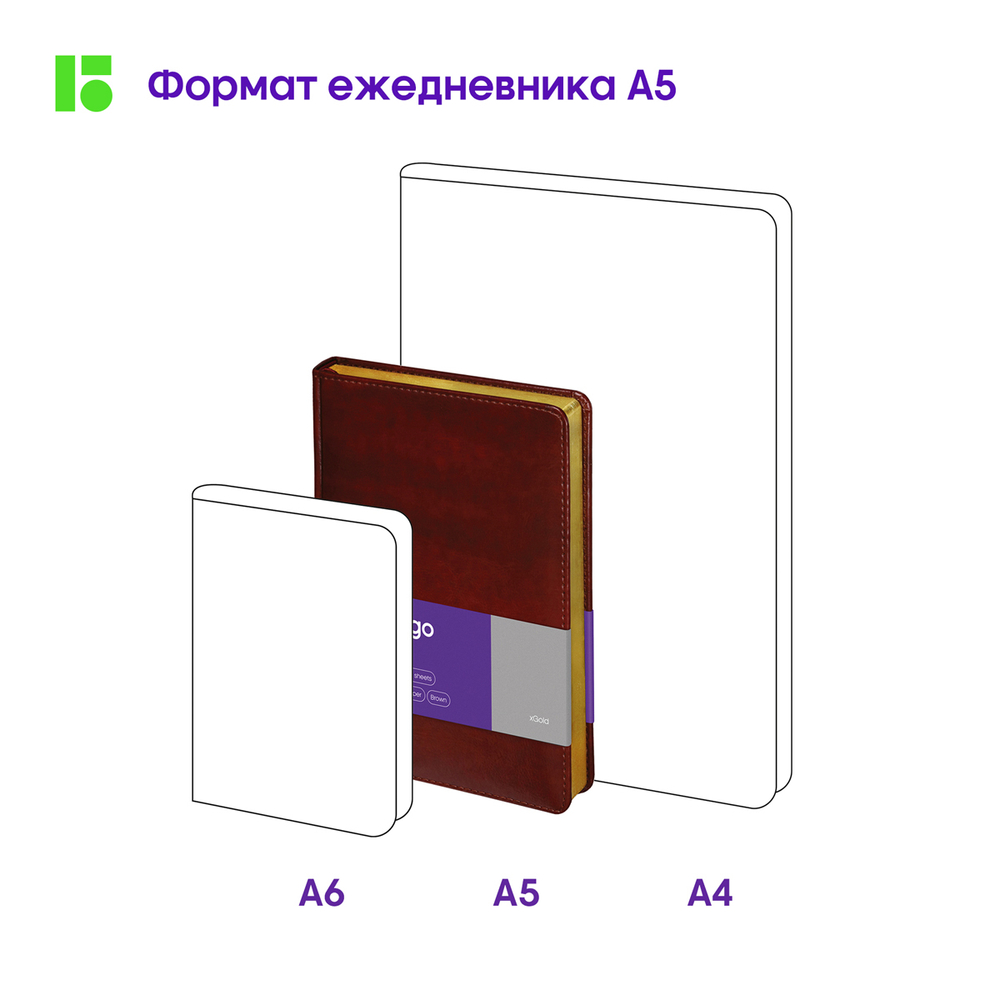 Ежедневник недатированный, А5, 160л., кожзам, Berlingo "xGold", зол. срез, коричневый