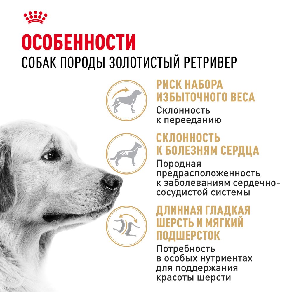 Сухой корм Royal Canin Golden Retriever Adult для взрослых собак породы Голден Ретривер от 15 месяцев