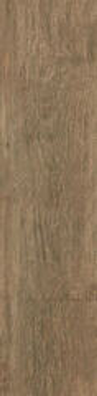 Atlas Concorde Axi Brown Chestnut 22.5x90