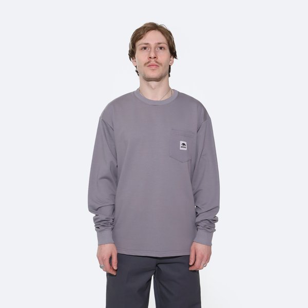 Лонгслив Anteater Phat Long100 (grey) артикул: - купить в магазине Дайс