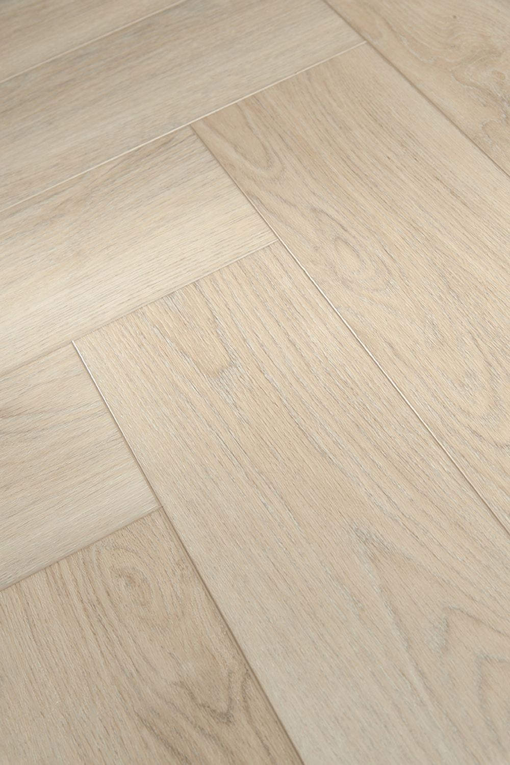 Strong Step Ideal Sahara, 1,588 м²