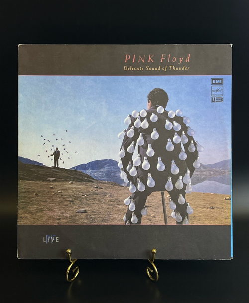 2 LP Pink Floyd - Delicate Sound Of Thunder . Зарубежный рок. 2 Виниловые пластинки