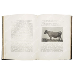 Шоу Р. Сельское хозяйство в Дании/ Schou R. Om Landbruget i Danmark L'Agriculture en Danemark. 1900