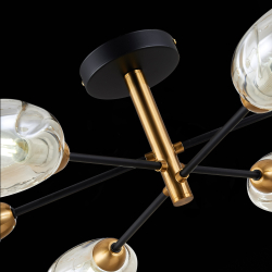 Светильник потолочный Evoluce Gloa SLE155502-06