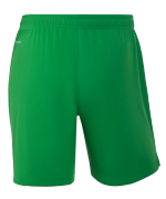 Шорты вратарские JOGEL NATIONAL PerFormDRY GK Shorts, зеленый