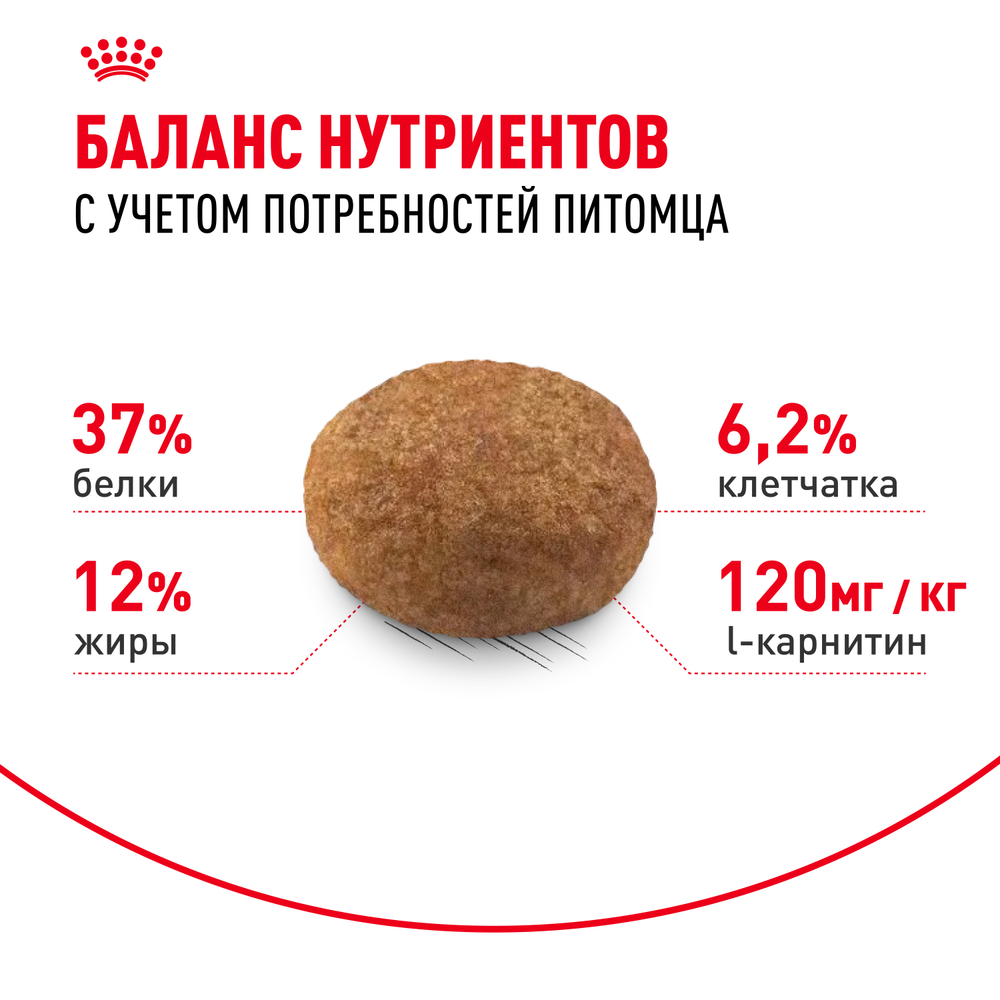Сухой корм Royal Canin Sterilised 37 для кастрированных котов и стерилизованных кошек