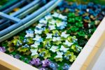 Конструктор LEGO ART 31220 Claude Monet – Bridge over a Pond of Water Lilies