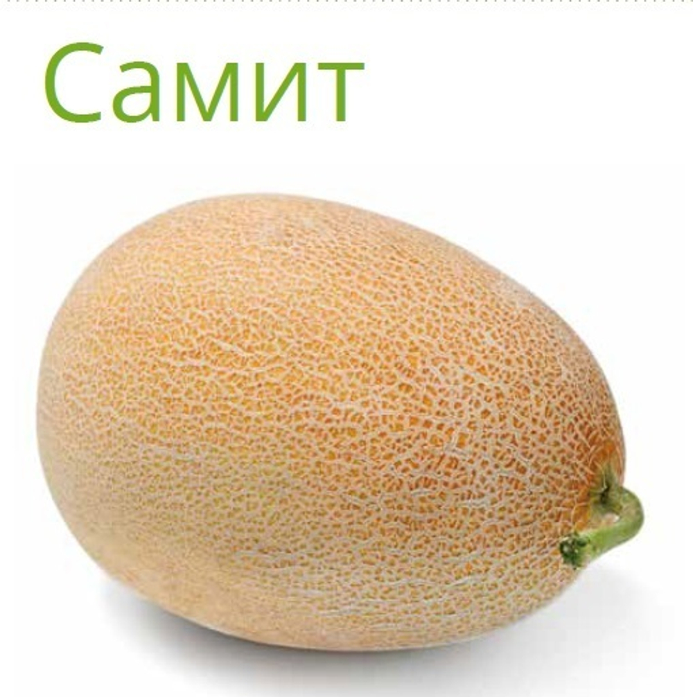 Самит F1 семена дыни (Seminis / Семинис)