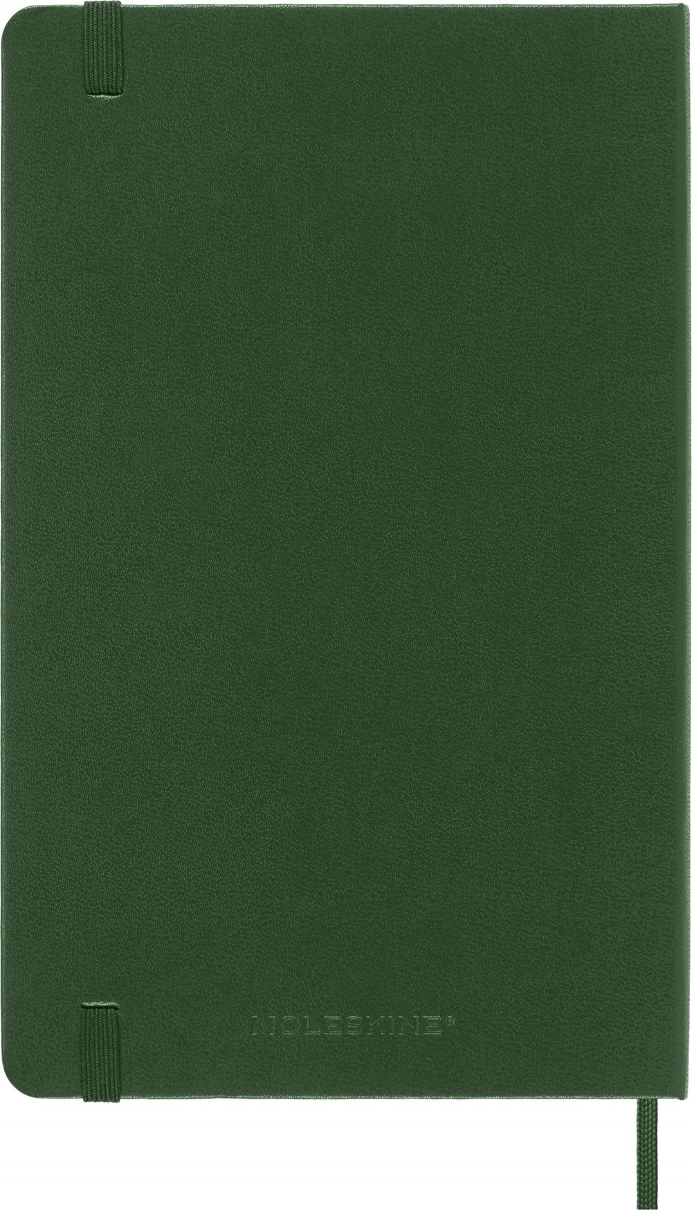 Еженедельник Moleskine WKNT Large (DHK1512WN3Y24) 6