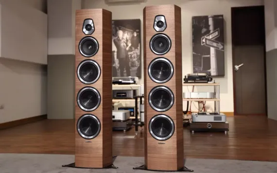 Sonus Faber Sonetto VIII Black
