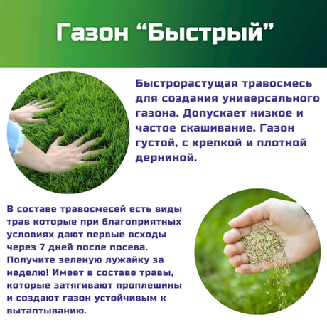 Семена газонной травы, травосмесь Быстрый газон, 1 кг/тимофеевка луговая, райграс однолетний/Газон Сити