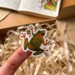 стикерпак «лягушачье царство» 🐸