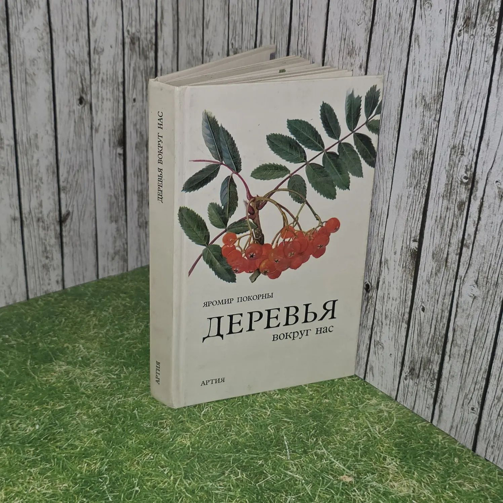 Деревья вокруг нас. Покорны Яромир