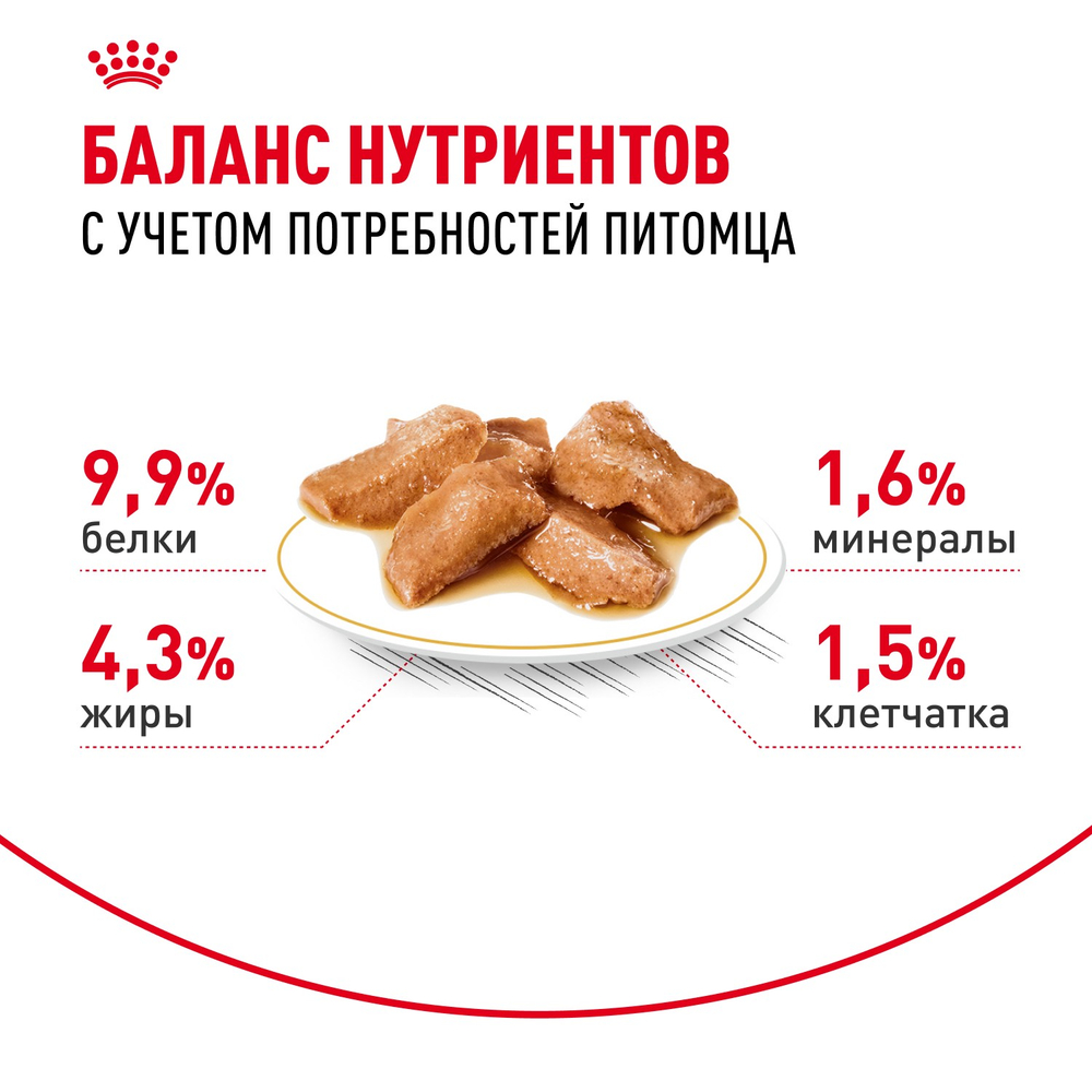 Royal Canin Maine Coon Adult Мейн Кун Эдалт Корм влажный для взрослых кошек породы Мэйн Кун соус 85г