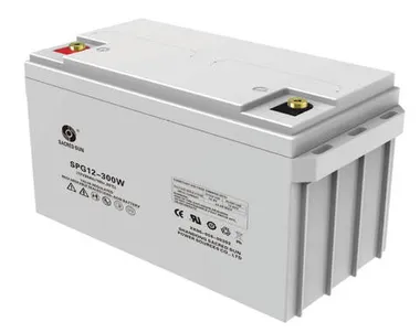 Аккумуляторы Sacred Sun SPG12-300W - фото 1