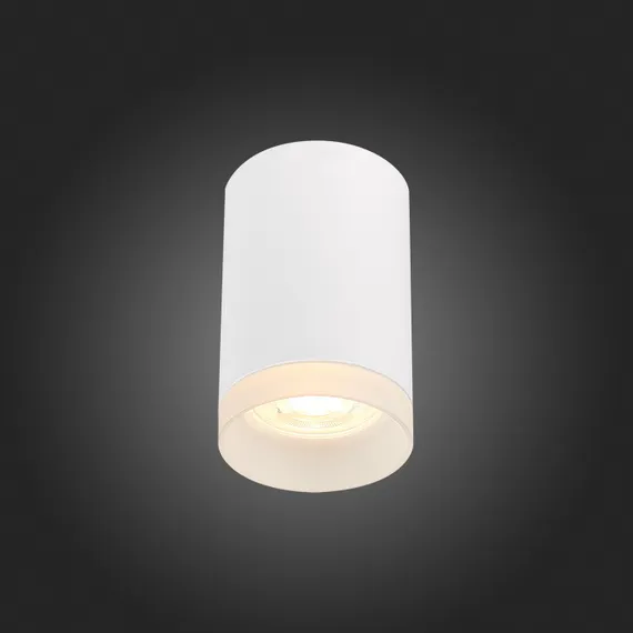 Точечный светильник St100 ST100.502.01 ST Luce