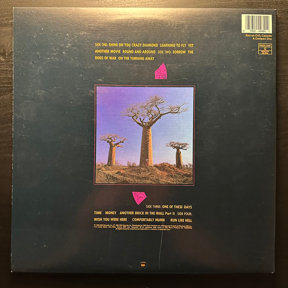 Pink Floyd - Delicate Sound Of Thunder 2LP (США 1988г.)