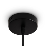 Подвесной светильник Freya Topi FR5503PL-01B