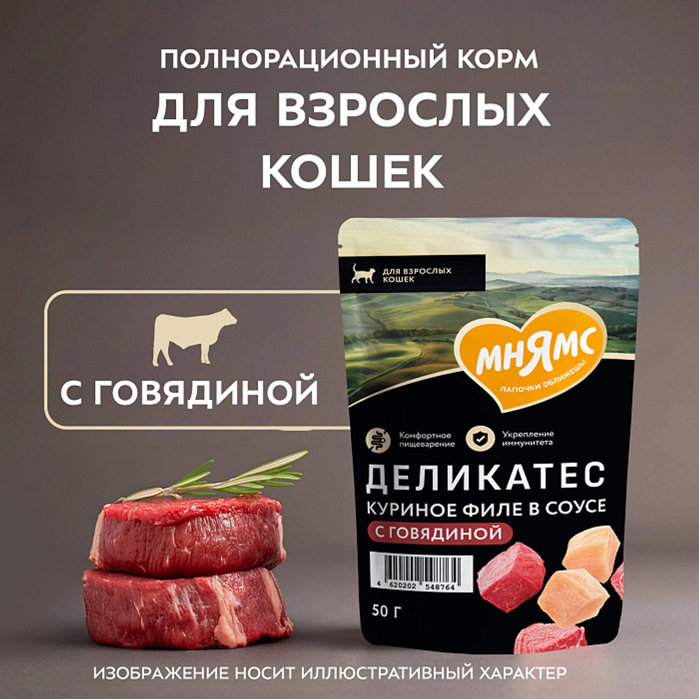 Влажный корм для кошек Деликатес куриное филе с говядиной в соусе Мнямс 50 г