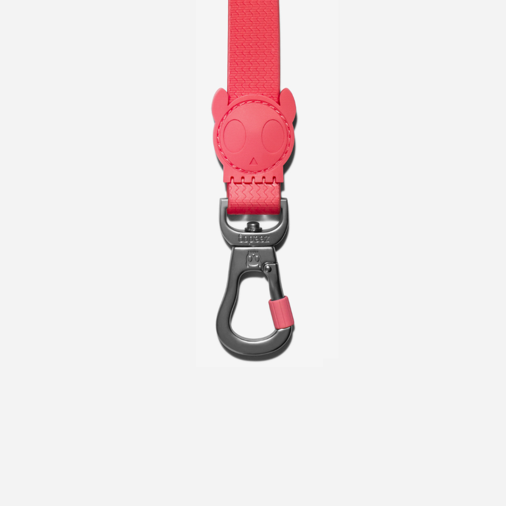 Поводок NEOPRO BUBBLEGUM 120 см Zee.Dog