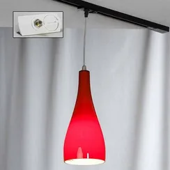 Трековый светильник Rimini LSF-1156-01-TAW Lussole