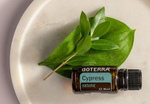 Эфирное масло dōTERRA Кипарис, Cypress, 15 мл