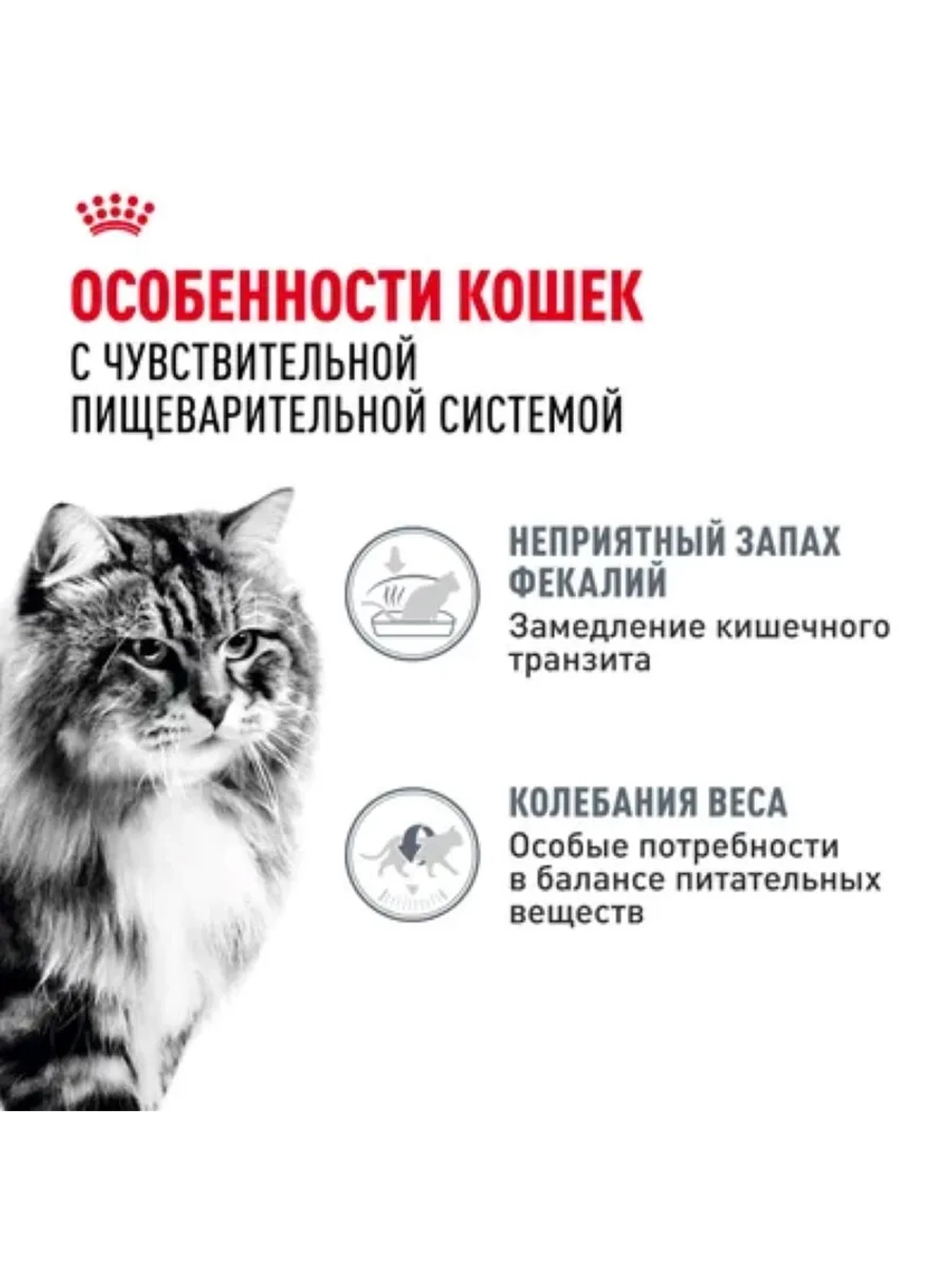 Digestive Care Корм для кошек в соусе 85г*28шт