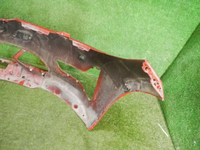 DSCN8366.jpg