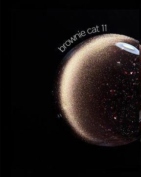 Brownie cat color gel 10g 11 Iperfect