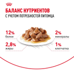 Royal Canin Instinctive Инстинктив Корм влажный для взрослых кошек в возрасте от 1 года до 7 лет соус 85г