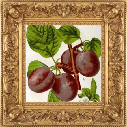 Отдушка SM - ЧЕРНАЯ СЛИВА И КРЕМ-ДЕ-КАССИС (BLACK PLUM & CREME DE CASSIS)
