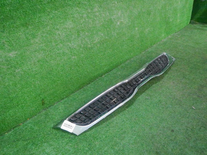 DSCN8008.JPG