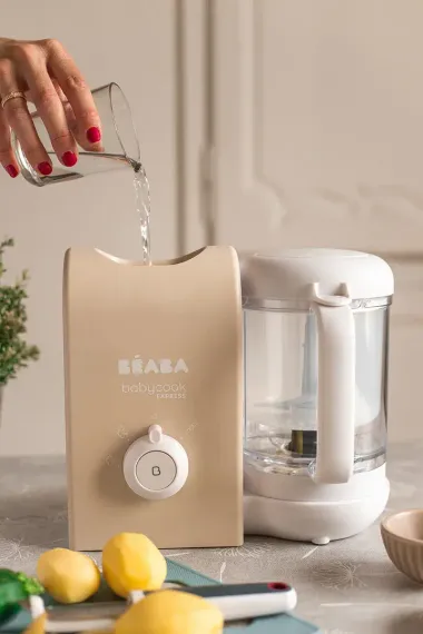 Блендер-пароварка Beaba Babycook Express Clay Earth