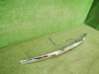 DSCN7520.jpg
