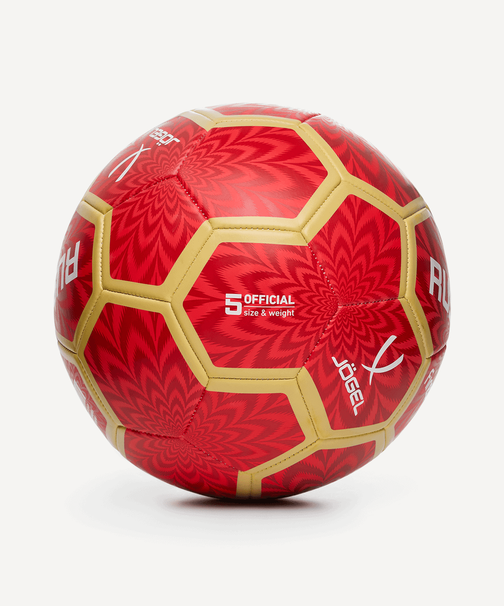 Мяч футбольный Flagball Firebird №5