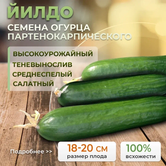 ЙИЛДО семена огурца (Bejo | Alexagro) – фото 1