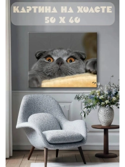 Картина на стену 40 X 50 Кот