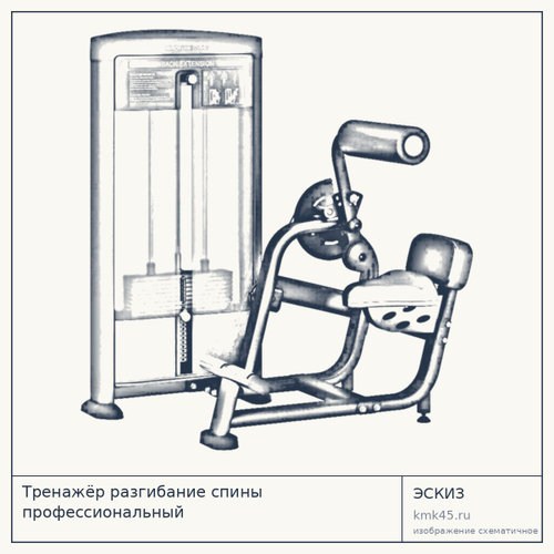 Тренажёр разгибание спины профессиональный — от 215 000 ₽