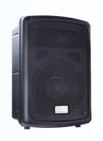 Soundking FP208-1A