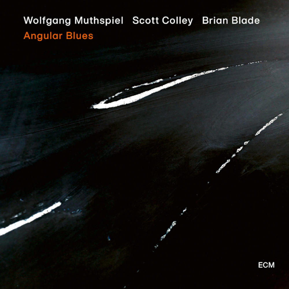 Wolfgang Muthspiel, Scott Colley, Brian Blade / Angular Blues (LP)