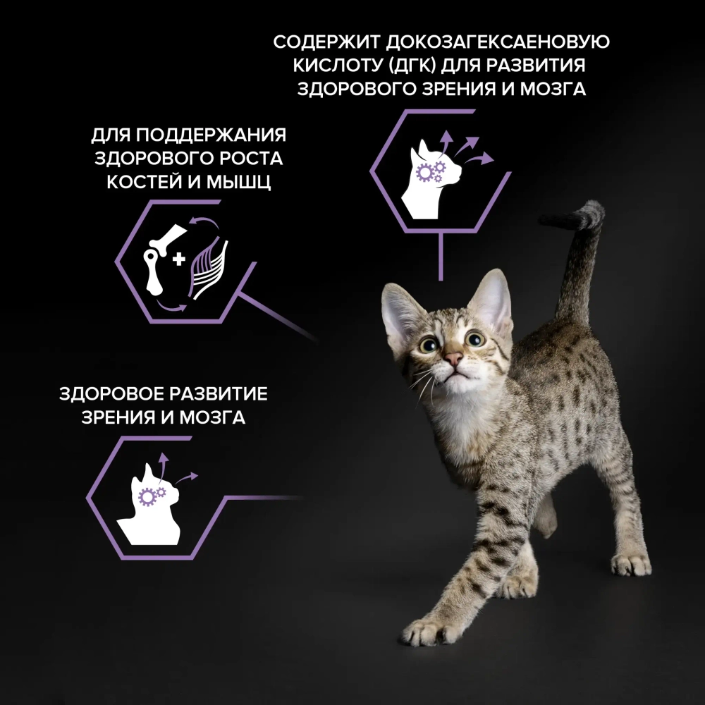 Отборный тунец паштет для котят, 70гр влажный корм ДОМАШНИЕ ОБЕДЫ Деревенские лакомства