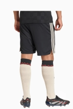 Шорты adidas FC Bayern 25/26 Third - черный