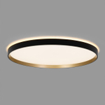 Накладной светильник Citilux ETALON CL750501R